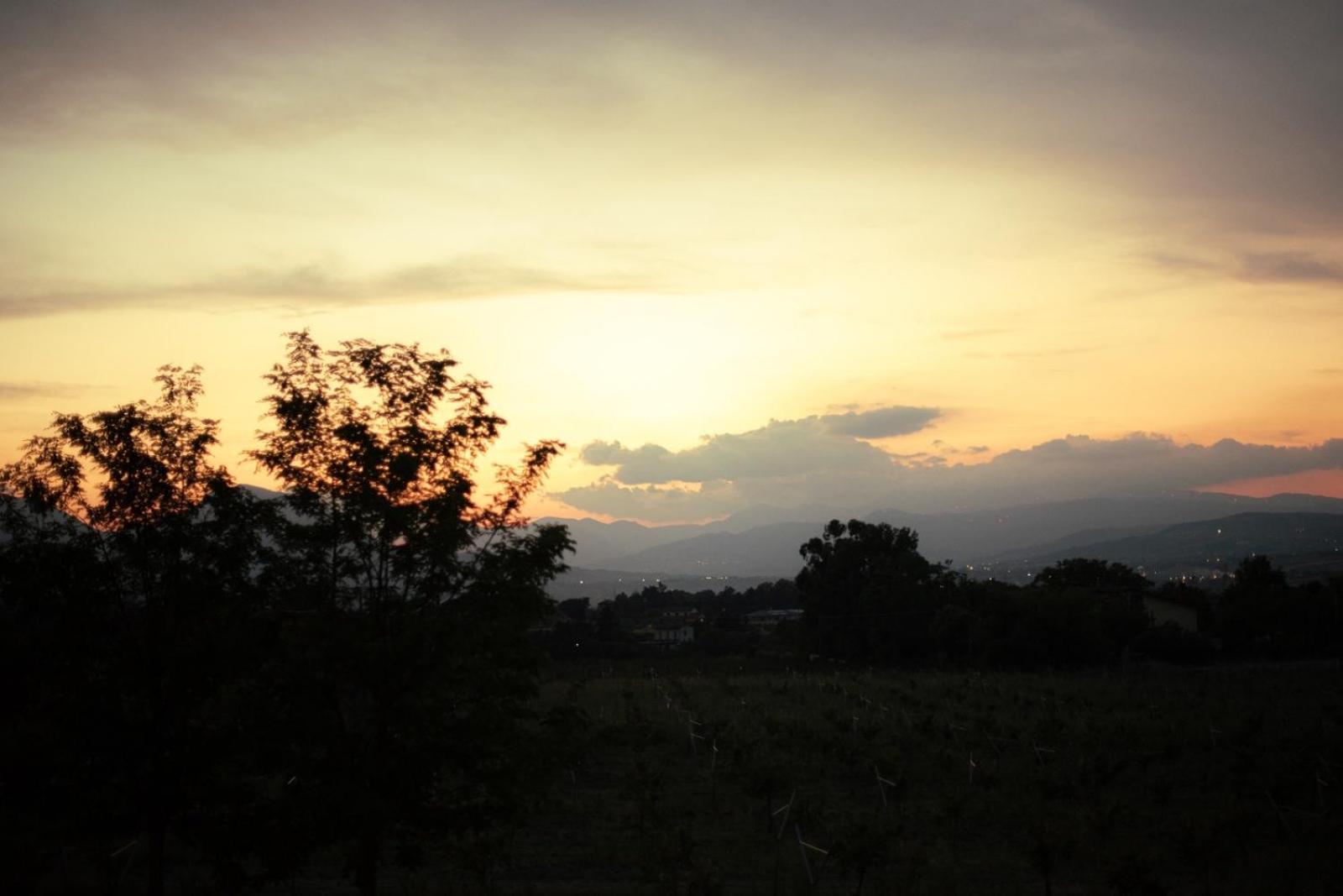 Arcadia Agriturismo San Nicola Manfredi Kültér fotó